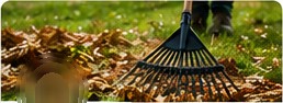 Rake gathering leaves on grass