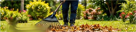 Raking leaves in a public garden